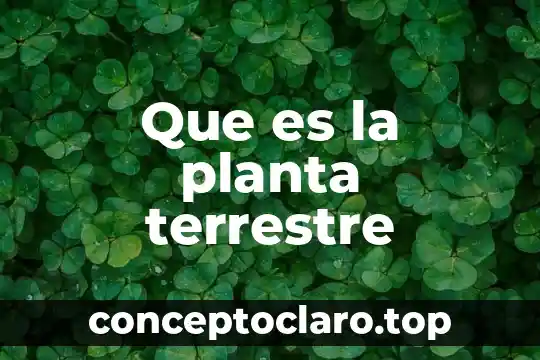 Que es la planta terrestre