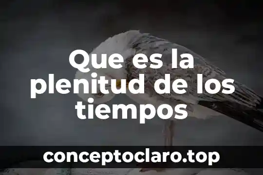 Que es la plenitud de los tiempos