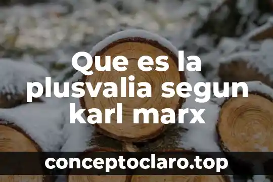 Que es la plusvalia segun karl marx