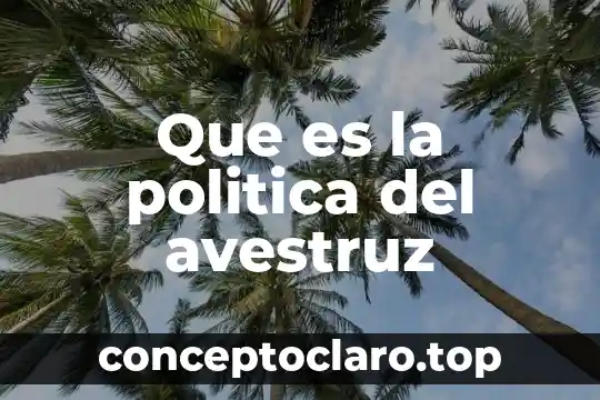 Que es la politica economcia 3 Que es la politica del avestruz