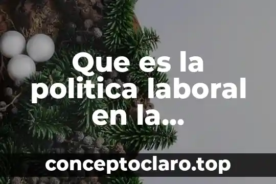Que es la politica laboral en la macroeconomia