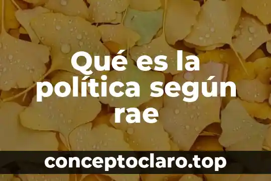 Qué es la política según rae