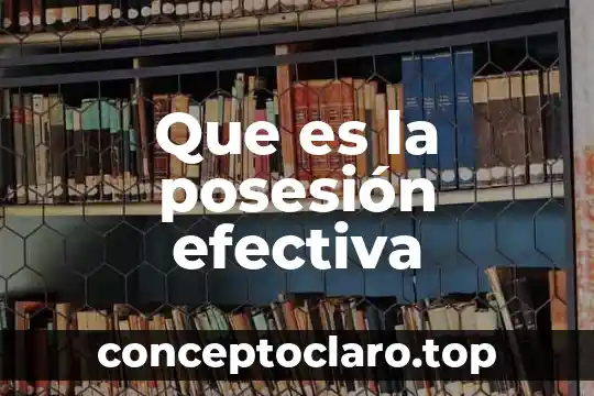 Que es la posesión efectiva