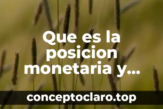 Que es la posicion monetaria y como puese ser