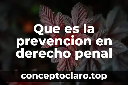 Que es la prevencion en derecho penal