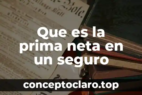 Que es la prima neta en un seguro