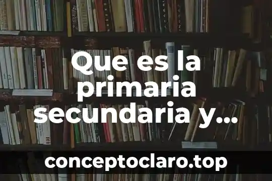 Que es ser mateo en chile 8 Que es la primaria secundaria y preparatoria en chile