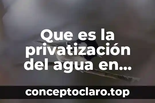Que es la privatización del agua en mexico 2018