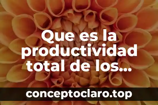 Que es la productividad total de los factores definición