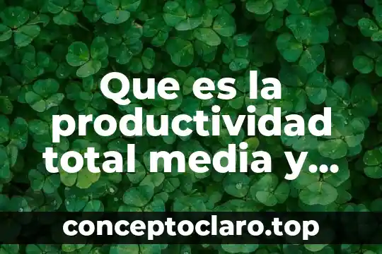 Que es la productividad total media y marginal