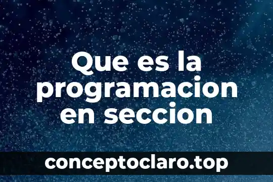 Que es la programacion en seccion