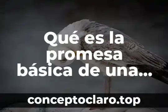 Que es una exhibicion color referente de marca 4 Qué es la promesa básica de una marca