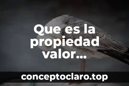Que es la propiedad valor determinado del campo