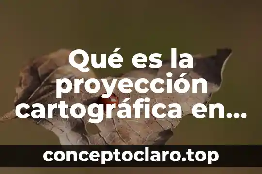Que es la particion primaria y secundaria 3 Qué es la proyección cartográfica en 6to de primaria