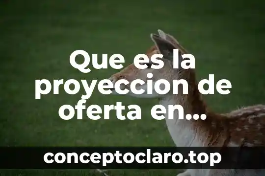 Que es la proyeccion de oferta en estudio de mercado