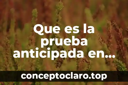 Que es la prueba anticipada en el juicio oral