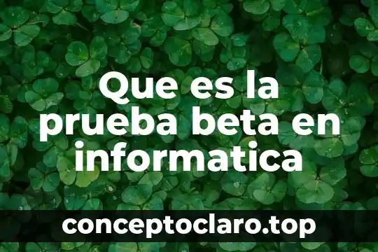 Que es significa comportamiento beta en psicologia 4 Que es la prueba beta en informatica