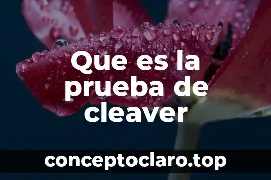 Que es un contrato de trabajo a prueba 6 Que es la prueba de cleaver