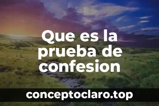 Que es la prueba de confesion