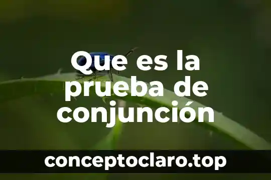 Prueba din en 63 español latino que es 6 Que es la prueba de conjunción