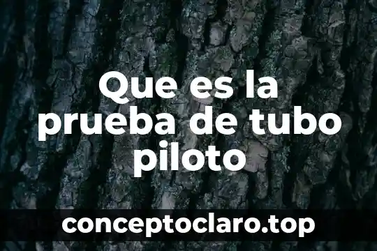 Que es una planta piloto para poliestireno expandido 5 Que es la prueba de tubo piloto