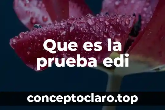 Que es un contrato de trabajo a prueba 5 Que es la prueba edi