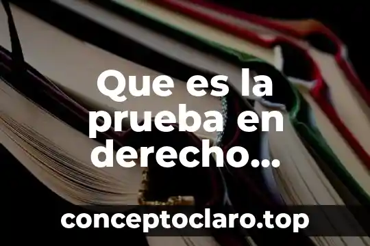 Que es la prueba en derecho administrativo en mexico