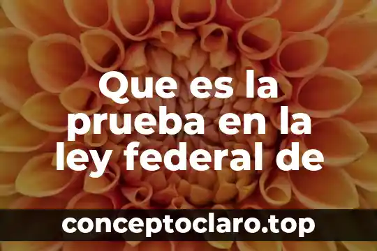 Que es la prueba en la ley federal de
