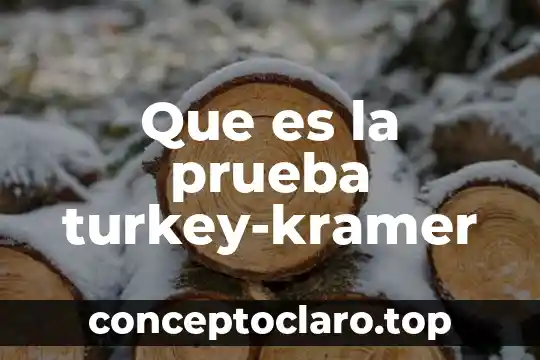 Prueba din en 63 español latino que es 8 Que es la prueba turkey-kramer