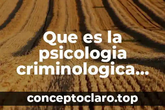 Que es una definicion operacional en psicologia 8 Que es la psicologia criminologica hilda marchiori objetivo