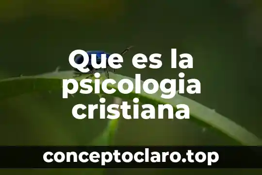 Que es la escuela humanista en psicologia 6 Que es la psicologia cristiana
