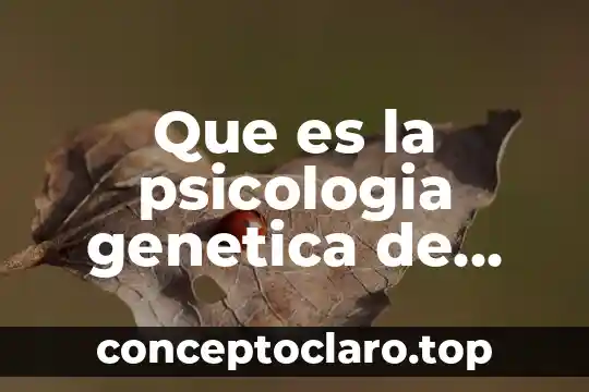 Que es la psicologia genetica de jean piaget