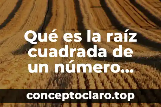 Qué es la raíz cuadrada de un número negativo