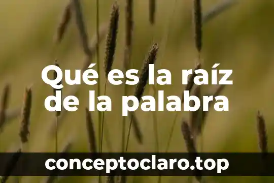 Qué es la raíz de la palabra