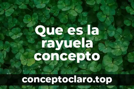 Que es la rayuela concepto