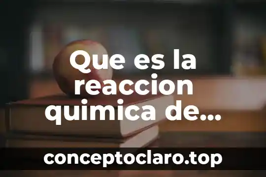Que es la reaccion quimica de digestión