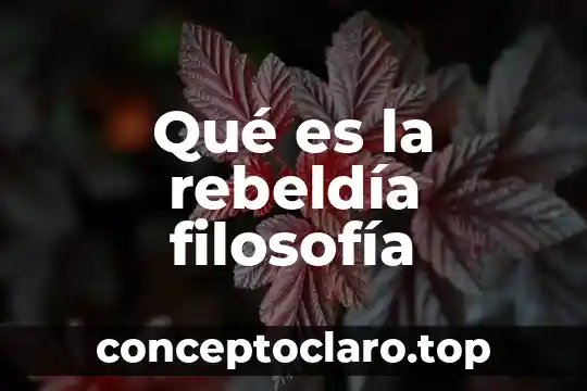 Qué es la rebeldía filosofía