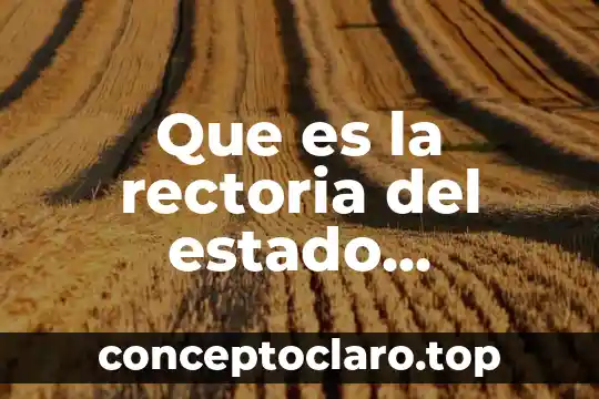 Que es la rectoria del estado mexicano
