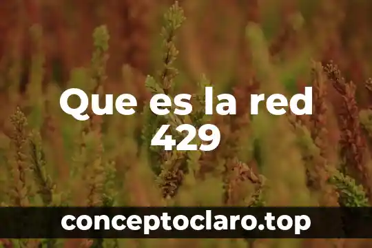 053 Red que es 7 Que es la red 429