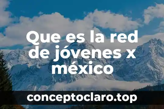 Que es la red de jóvenes x méxico