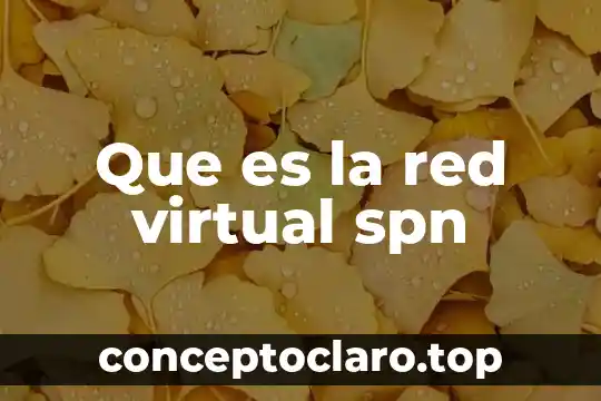 Corte en frio que es 7 Que es la red virtual spn