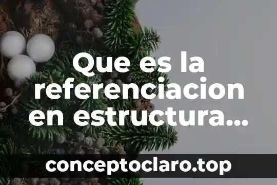 Perspectiva de analisis de datos que es 8 Que es la referenciacion en estructura de datos