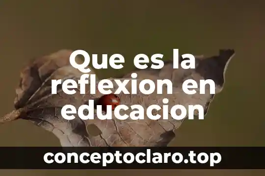 Que es la reflexion en educacion