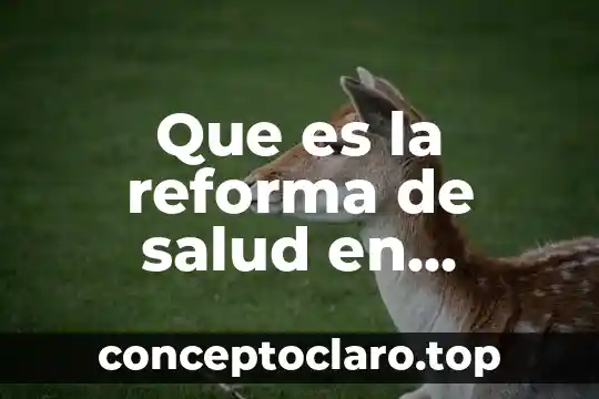 Reforma electoral mexico 2016 que es 8 Que es la reforma de salud en hospitales