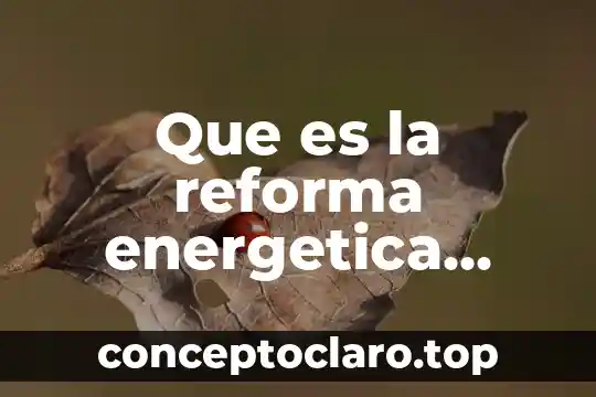 Reforma electoral mexico 2016 que es 7 Que es la reforma energetica ensayo