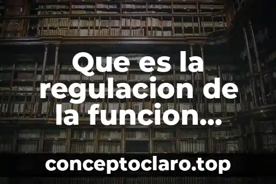 Que es la regulacion de la funcion renal