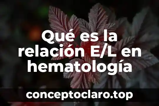 Qué es la relación E/L en hematología