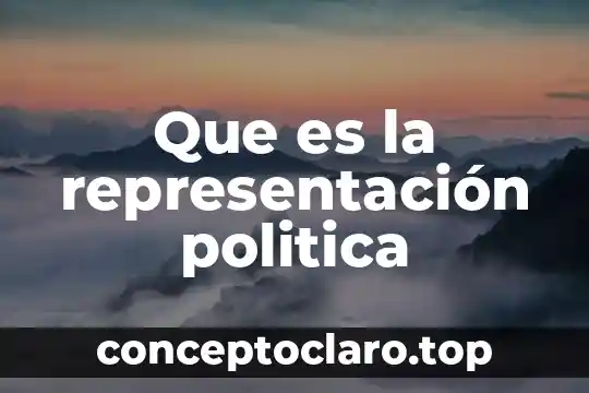Qué es una política en derecho 7 Que es la representación politica
