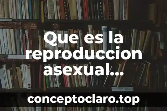 Que es ser asexual en una mujer 4 Que es la reproduccion asexual biologia