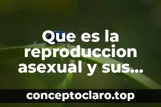 Que es ser asexual en una mujer 5 Que es la reproduccion asexual y sus caracteristicas